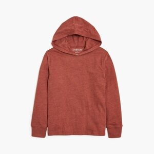 J. Crew Factory Crewcuts Boys' Long-sleeve Heathered Jersey Hooded Tee